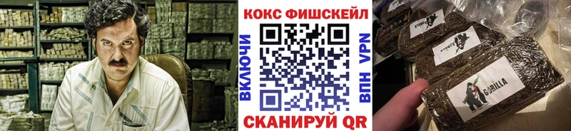 маркетплейс наркотические препараты  Щучье  COCAIN Эквадор  продажа наркотиков 