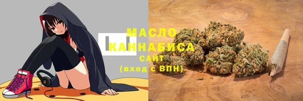 индика Магадан