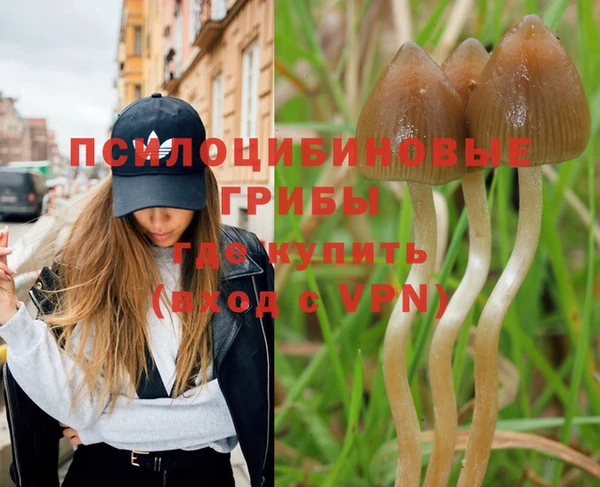 гидропоника Майский