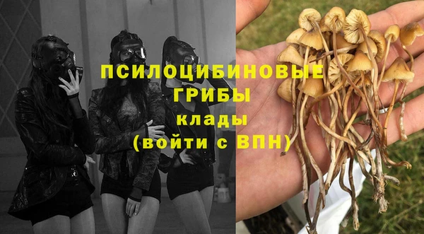 индика Магадан