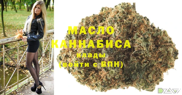 индика Магадан