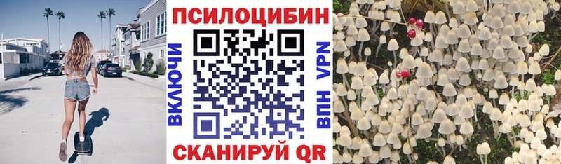 Псилоцибиновые грибы GOLDEN TEACHER Щучье